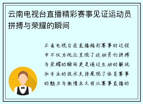 云南电视台直播精彩赛事见证运动员拼搏与荣耀的瞬间