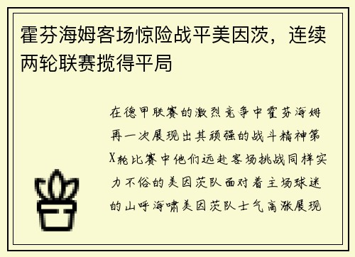 霍芬海姆客场惊险战平美因茨，连续两轮联赛揽得平局